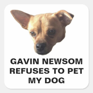 Gavin Newsom vägrar att uppfylla min Hund Fyrkantigt Klistermärke