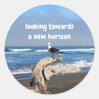 Gaviota frente al mar runt klistermärke
