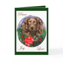 Gåvor för Boykin Spanieljul