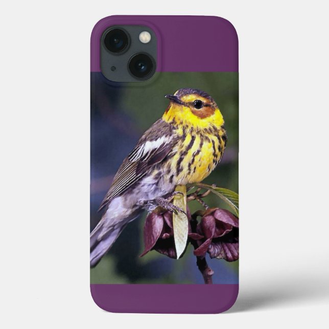 gåvor från Cape May Warbler Bird Älskare (Baksida)