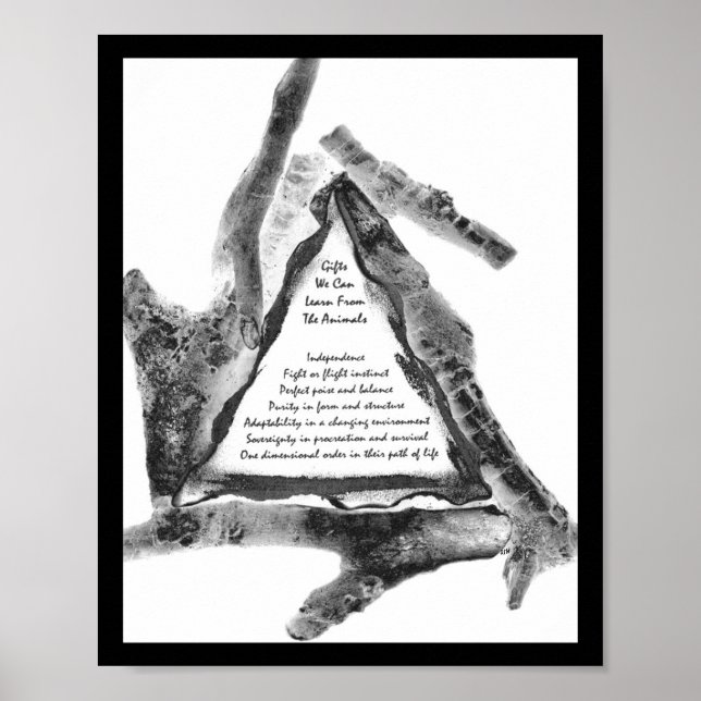 Gåvor från djur poster (Framsidan)