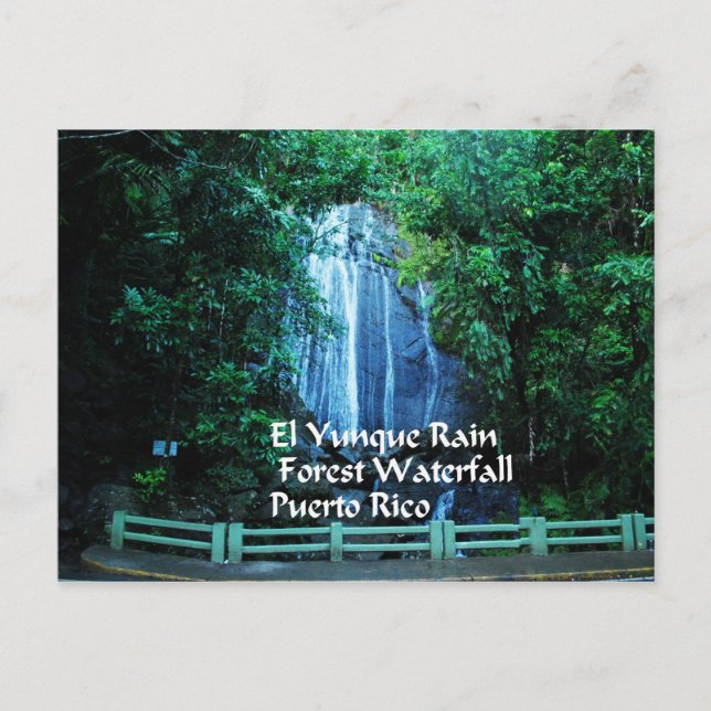 Gåvor från Karibien Vykort (Framsida)