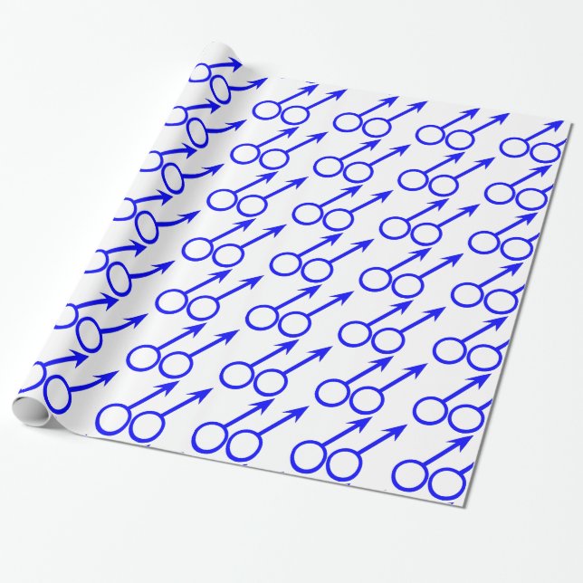 Gay Älskare Wrapping Papper Presentpapper (Utrullad)