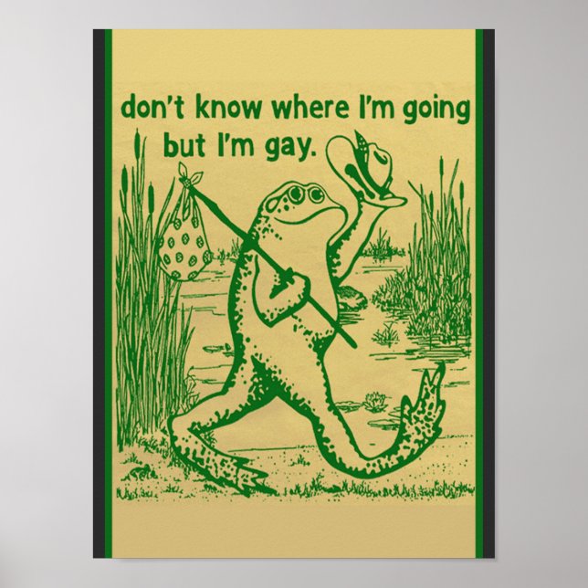 gay frog poster (Framsidan)