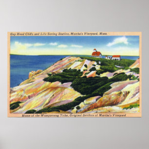 Gay Head Cliffs och Life Saving Station View Poster