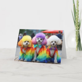 Gay pride Bichon Frisse hundar Kort
