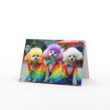 Gay pride Bichon Frisse hundar