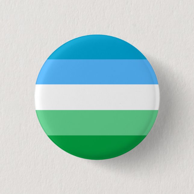 Gay pride Flagga Badge Knapp (Framsida)
