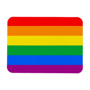 Gay pride Flagga Magnet