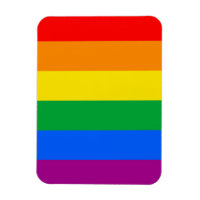 GAY PRIDE FLAGGA