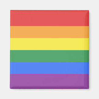 Gay pride Flagga Magnet