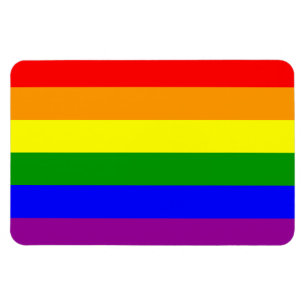Gay pride Flagga / regnbåge Flagga Magnet