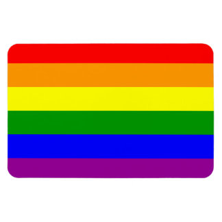 Gay pride Flagga / regnbåge Flagga Magnet