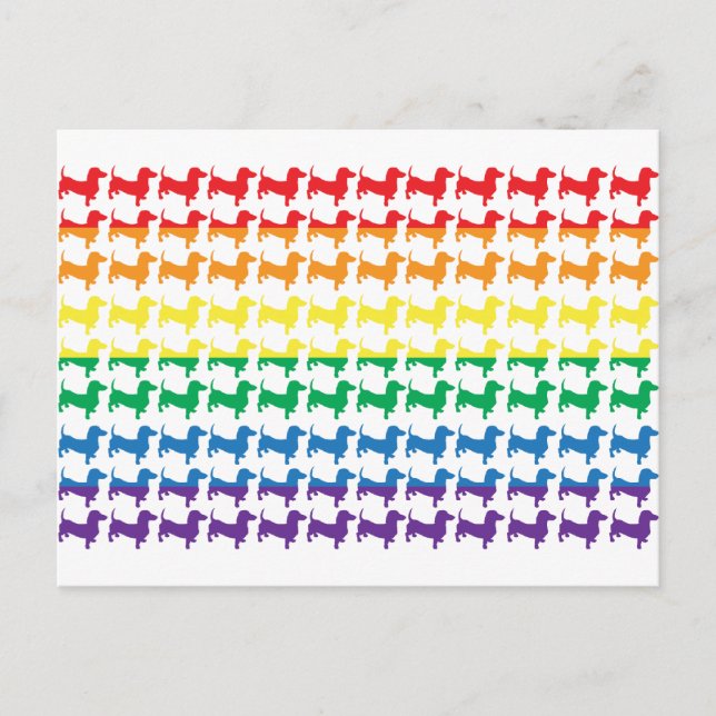 Gay pride Rainbow Dachshunds Vykort (Framsida)