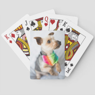Gay pride Rainbow Hund Yorkshire Terrier Casinokort