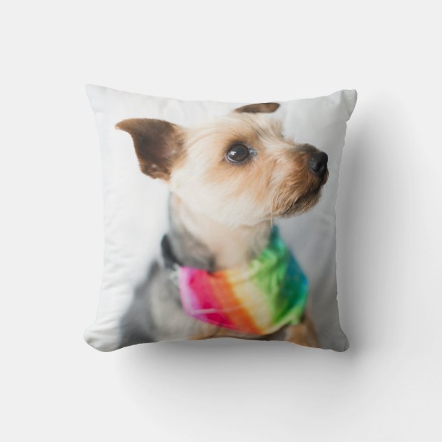 Gay pride Rainbow Hund| Yorkshire Terrier Kudde (Framsida)