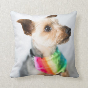 Gay pride Rainbow Hund Yorkshire Terrier Kudde