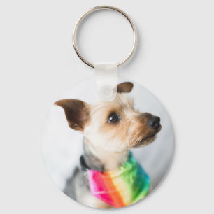 Gay pride Rainbow Hund   Yorkshire Terrier Nyckelring