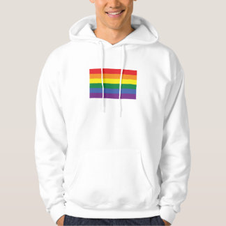 Gay prideflagga sweatshirt med luva