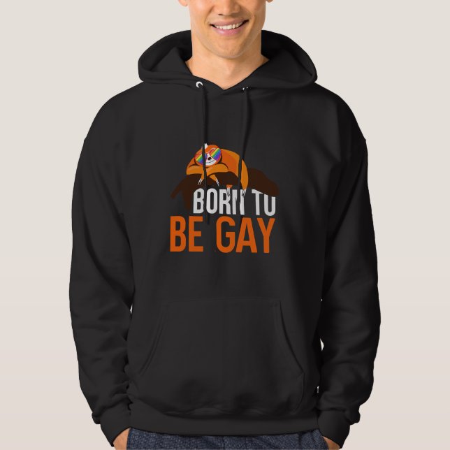 Gay Sloth Lgbt Pride Saker Hoodie (Framsida)