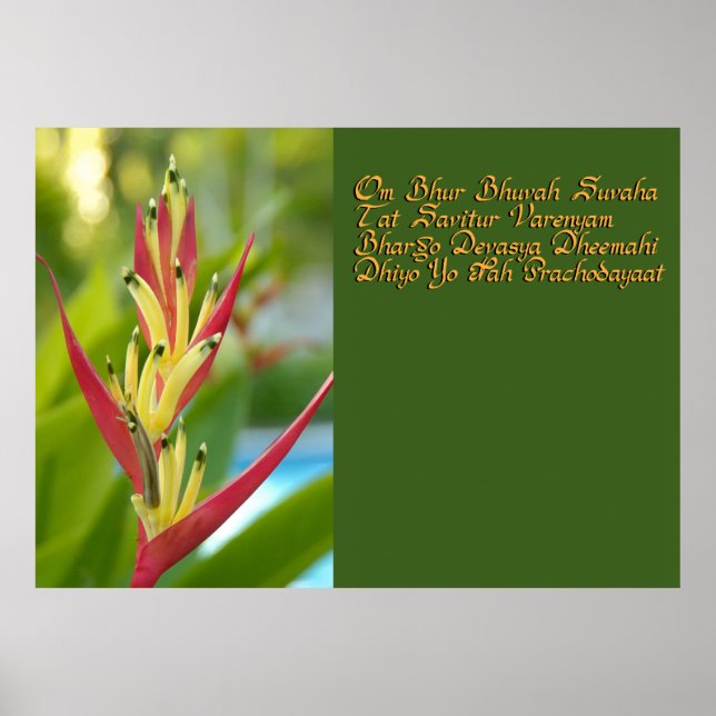 Gayatri mantra poster (Framsidan)