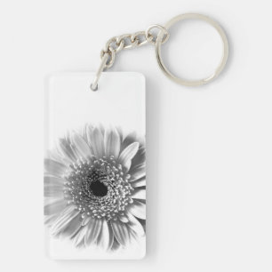 Gazania