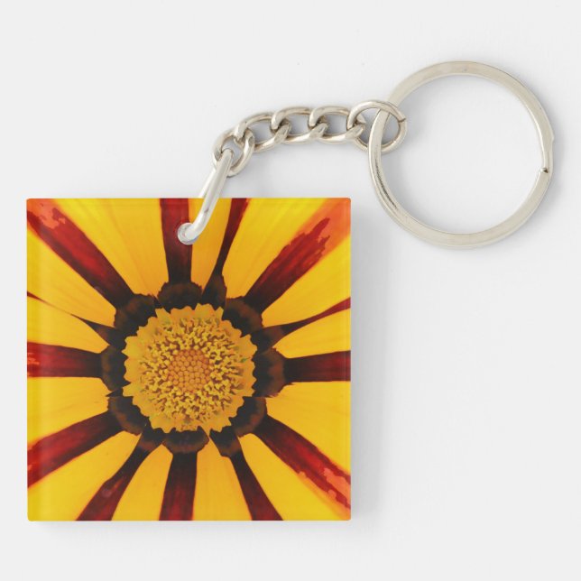 Gazania (Baksidan)