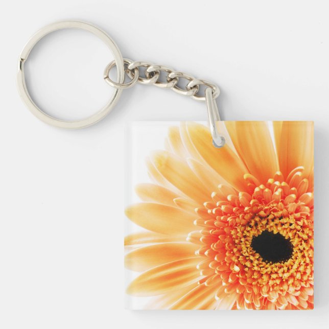 Gazania (Framsidan)