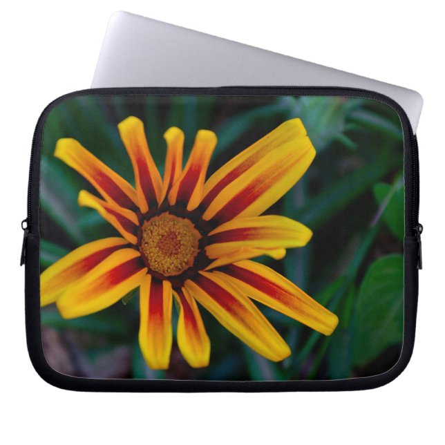 Gazania-blomma Laptop Fodral (Framsidan)
