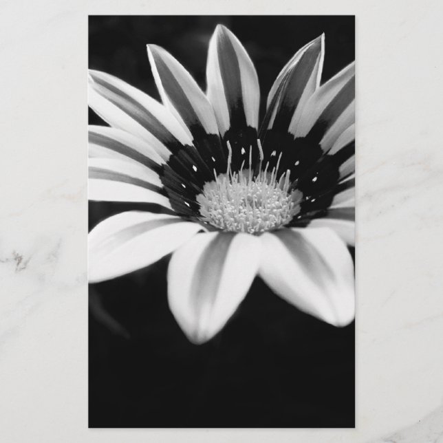 Gazania Brevpapper (Framsida)