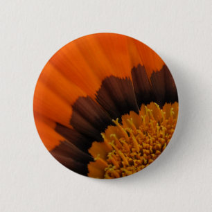 Gazania Button Knapp