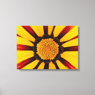 Gazania Canvastryck