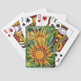 Gazania Flower-betalkort Casinokort