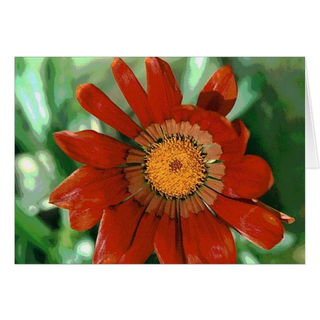 Gazania Hälsningskort (Framsidan Horizontal)