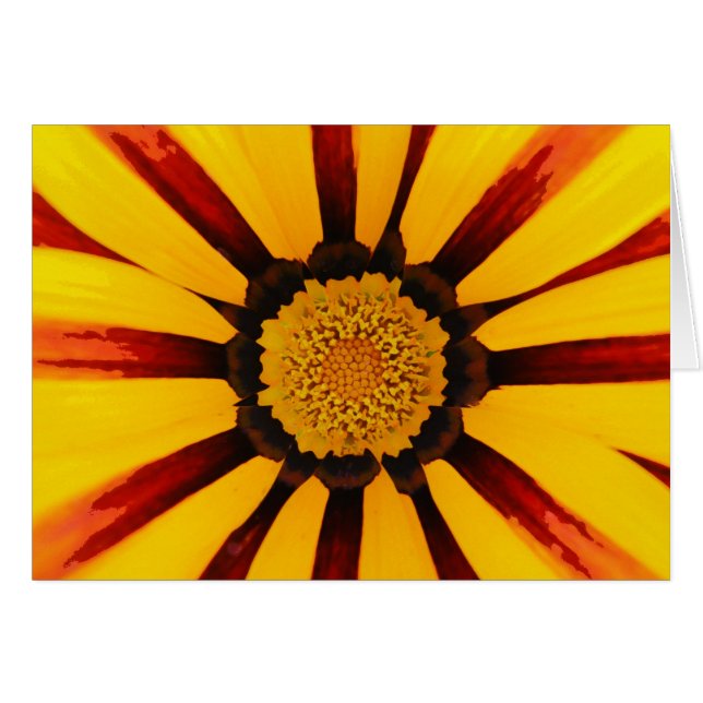 Gazania Hälsningskort (Framsidan Horizontal)