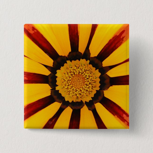 Gazania Knapp (Framsida)
