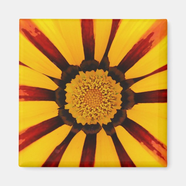 Gazania Magnet (Framsidan)