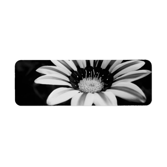 GAZANIA RETURADRESS ETIKETT (Framsidan)