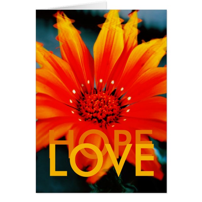 GAZANIART-kort Hälsningskort (Framsidan)