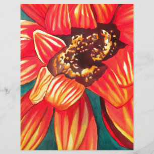 Gazanias blomkonst av Sacha Grossel