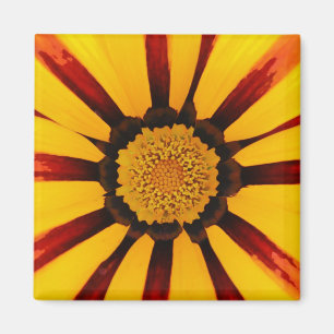 Gazanier Magnet