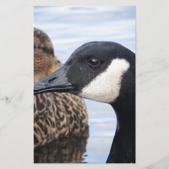 Gaze Brevpapper (Framsida)