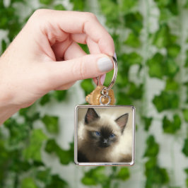 Gaze: Oskuld Siamese Kitten Porträtt Fyrkantig Silverfärgad Nyckelring