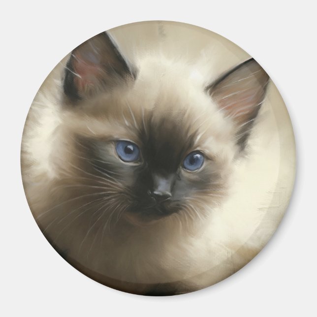 Gaze: Oskuld Siamese Kitten Porträtt Magnet (Framsidan)