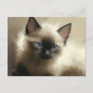 Gaze: Oskuld Siamese Kitten Porträtt Vykort