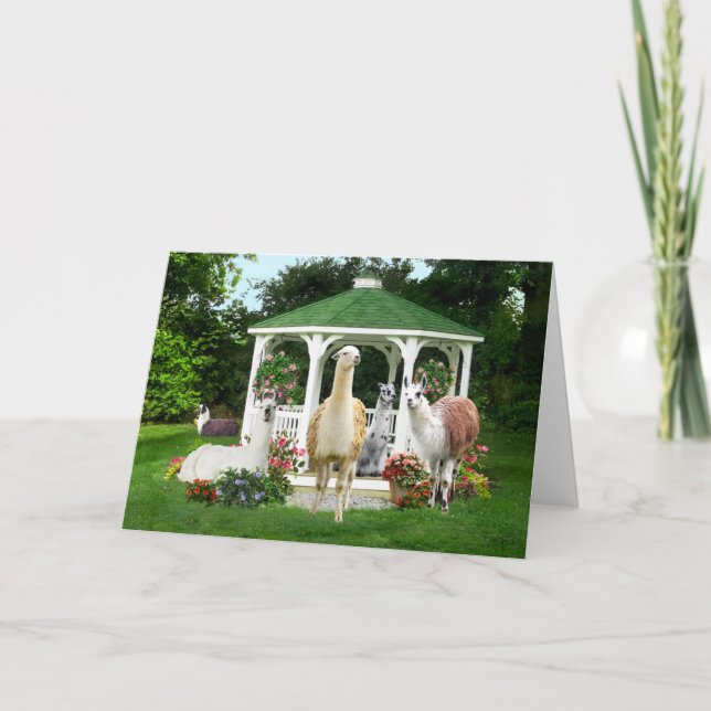 ’Gazebo Girls’ Hälsning Kort (Framsida)