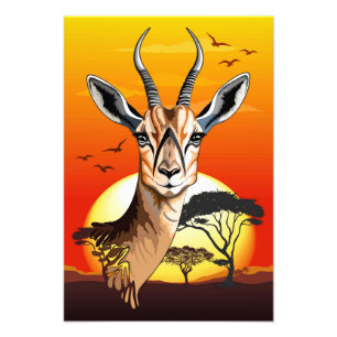 Gazelle African Antelope Vild Animal Fototryck