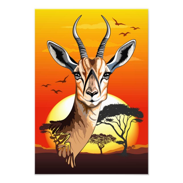 Gazelle African Antelope Vild Animal Fototryck (Framsidan)
