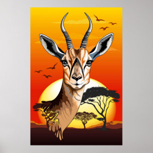 Gazelle African Antelope Vild Animal Poster