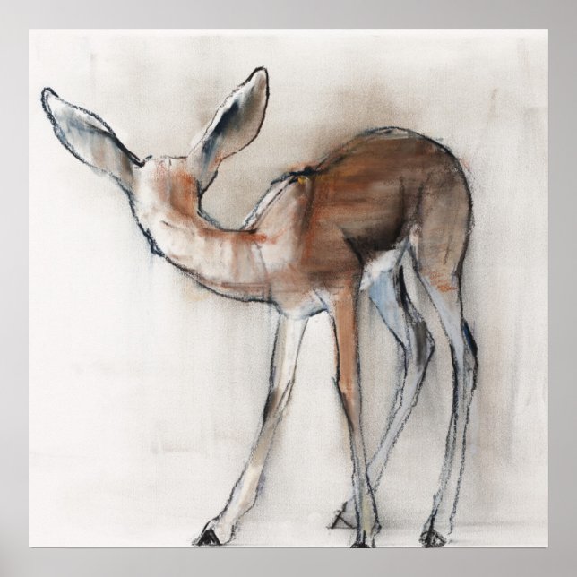 Gazelle Fawn Poster (Framsidan)
